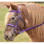 **FLASH SALE** REFLECTIVE Bridles made from BETA BIOTHANE