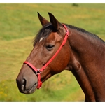 Drop Noseband English Cavesson made from Beta Biothane