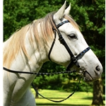 blackbase  BLING Beta Biothane English Convert-A-Bridle 