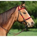 PICNIC BRIDLE or SIMPLE HALTER BRIDLE made from Beta Biothane (Any 2 Color Combo)