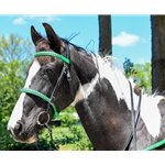**FLASH SALE** Color Overlay with Silver Spots ENGLISH BRIDLE & BREAST COLLAR SET made from BETA BIOTHANE