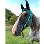 WESTERN BRIDLE with Futurity Knot Browband made from BETA BIOTHANE (Solid Colored)