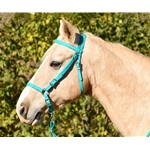 WESTERN Style BITLESS BRIDLE made from BETA BIOTHANE (Solid Colored)