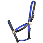 Padded Halter made from BETA BIOTHANE with NO RUB Padding