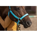 Padded Halter made from BETA BIOTHANE with Black NEOPRENE Padding