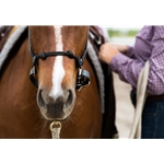 ROPE COMBO HALTER made from BETA BIOTHANE (Solid Colored)