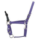 Get Colored Thread Rope Combo Halter From Two Horse Tack