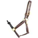 Find Leather Rope Combo Halter at budget friendly price