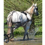 blackpad  BIOTHANE Pleasure Harness
