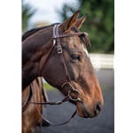 WESTERN BRIDLE with Futurity Knot Browband made from BETA BIOTHANE (Solid Colored)