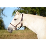 blue BETA BIOTHANE Turnout Halter