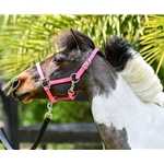 red BETA BIOTHANE Turnout Halter