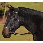 ENGLISH HUNT BRIDLE Made from Beta Biothane