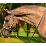 whiteoverlay  BETA BIOTHANE with OVERLAY Turnout Halter