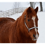 betabiothanecolors BETA BIOTHANE with OVERLAY Turnout Halter