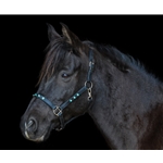  bluebling (dark blue) BLING Beta Biothane Turnout Halter