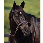 2 in 1 BITLESS BRIDLE made from BETA BIOTHANE (with BLING)