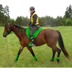 Green Bean Endurance Official Tack HALTER BRIDLE with BIT HANGERS made from BETA BIOTHANE (Mix N Match)