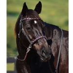 blackbase  BLING 2 in 1 Bitless Bridle