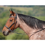 blackbase  BLING 2 in 1 Bitless Bridle