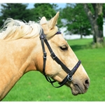 blackbase  BLING 2 in 1 Bitless Bridle