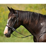 blackbase  BLING 2 in 1 Bitless Bridle