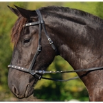 blackbase  BLING 2 in 1 Bitless Bridle