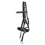 blackbase  BLING 2 in 1 Bitless Bridle