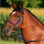 purple BETA BIOTHANE with OVERLAY Halter Bridle with Bit Hangers