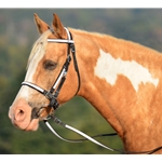 whiteoverlay BETA BIOTHANE with OVERLAY Halter Bridle with Bit Hangers