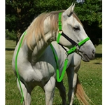 HALTER & LEAD made from BETA BIOTHANE (Mix N Match) **Green Bean Official Tack***