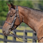 black  BLING Halter Bridle with Bit Hangers