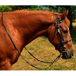 black BLING Halter Bridle with Bit Hangers