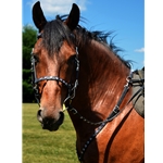 black  BLING Halter Bridle with Bit Hangers