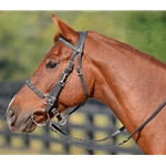 black BLING Halter Bridle with Bit Hangers