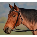 Black AUSTRALIAN BARCOO OUTRIDER AUSSIE BRIDLE made from BETA BIOTHANE