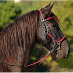 maroon (burgundy/wine)  BETA BIOTHANE with OVERLAY Quick Change Halter Bridle with Snap on Browband