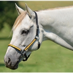 yellow (bright/canary) BETA BIOTHANE with OVERLAY Quick Change Halter Bridle with Snap on Browband