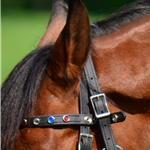 black BLING Quick Change Halter Bridle with Snap on Browband