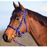Dark BLUE Traditional HALTER BRIDLE with BIT HANGERS made from BETA BIOTHANE