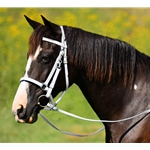 WHITE Traditional HALTER BRIDLE with BIT HANGERS made from BETA BIOTHANE