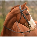 blackbase BLING Beta Biothane Western Bridle with Full Browband