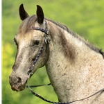 blackbase BLING Beta Biothane Western Bridle with Full Browband