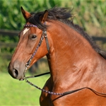 blackbase BLING Beta Biothane Western Bridle with Full Browband