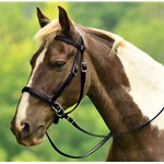 BLACK 2 in 1 BITLESS BRIDLES