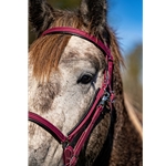 PADDED Traditional HALTER BRIDLE with BIT HANGERS made from BETA BIOTHANE with Black NEOPRENE PADDING