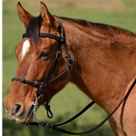 BLACK Snap on Browband WESTERN BRIDLE made from BETA BIOTHANE