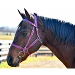 PADDED Quick Change Halter Bridle with Snap on Browband made from BETA BIOTHANE with COLORED SYNTHETIC PADDING