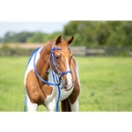 WESTERN Style BITLESS BRIDLE made from NYLON