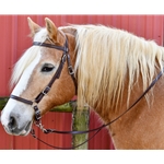 ****BETTER THAN  LEATHER ****WESTERN STYLE Bitless Bridle made from 580 BETA BIOTHANE